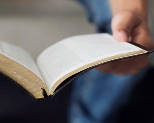 Exodus & Leviticus